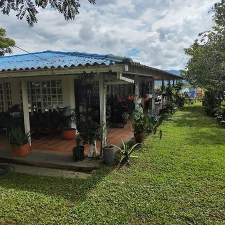 Villa Monica Montenegro Kültér fotó