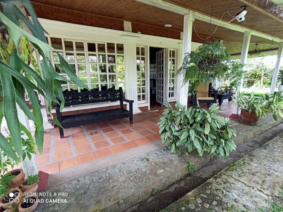Villa Monica Montenegro Kültér fotó